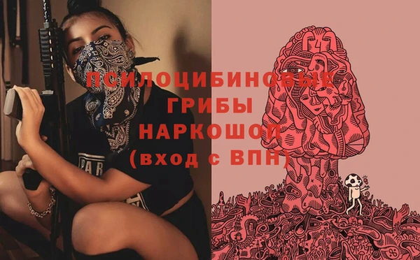 винт Аркадак