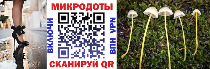 Галлюциногенные грибы Psilocybine cubensis  цены наркотик  Вихоревка 